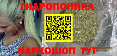 прущие грибы Тулун
