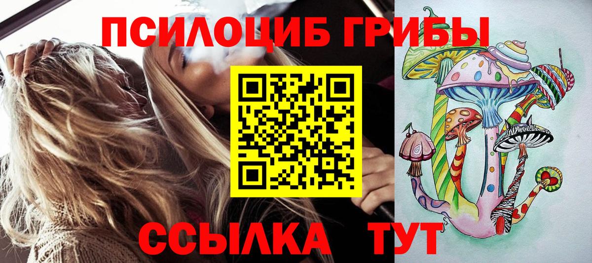 Псилоцибиновые грибы MAGIC MUSHROOMS  Вход с VPN  купить наркотики сайты  Псилоцибиновые грибы мицелий  Новоалександровск 